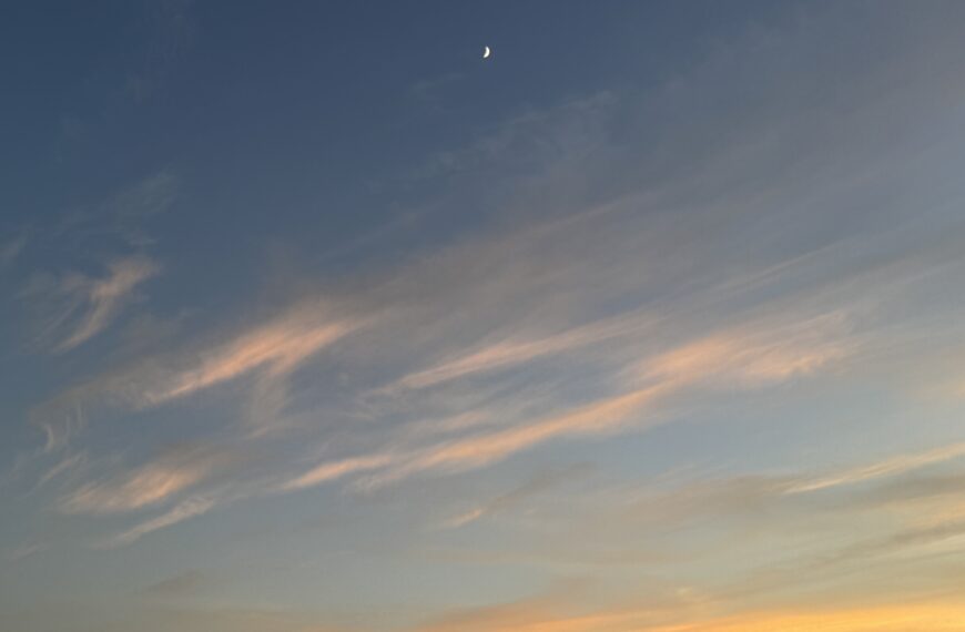 Process for FY27 Air Emissions/Inspection Fee Basis Submission